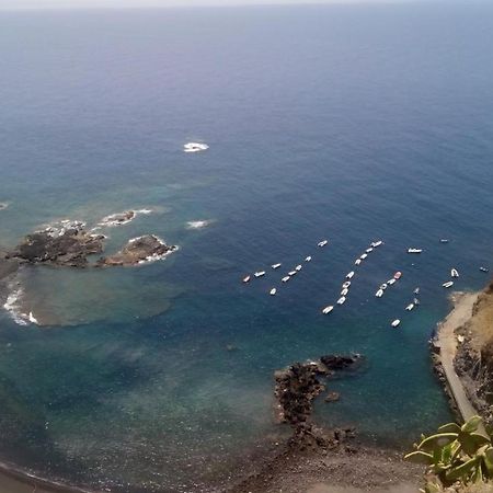 Carnaval A Tenerife La Laguna  Eksteriør billede